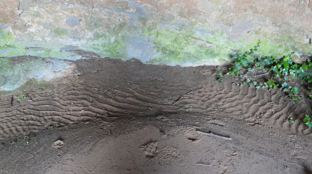 This is a a photo of a natural area in Catalonia, Spain, with id: