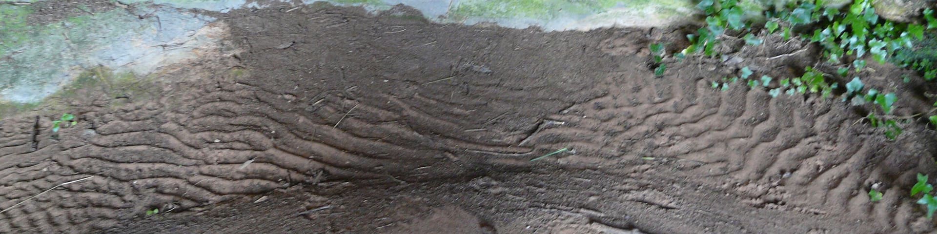 This is a a photo of a natural area in Catalonia, Spain, with id: