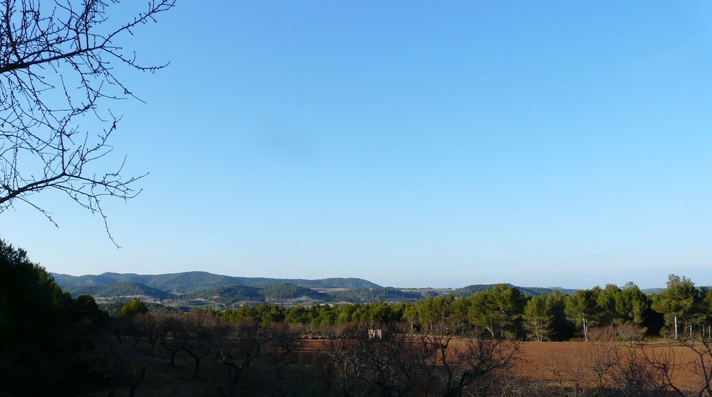 This is a a photo of a natural area in Catalonia, Spain, with id: