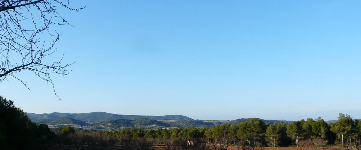 A landscape with a clear sky, a field of trees, and distant hills.