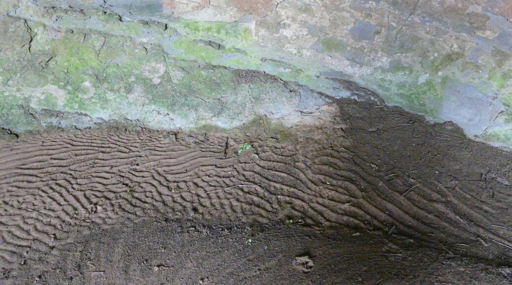 This is a a photo of a natural area in Catalonia, Spain, with id: