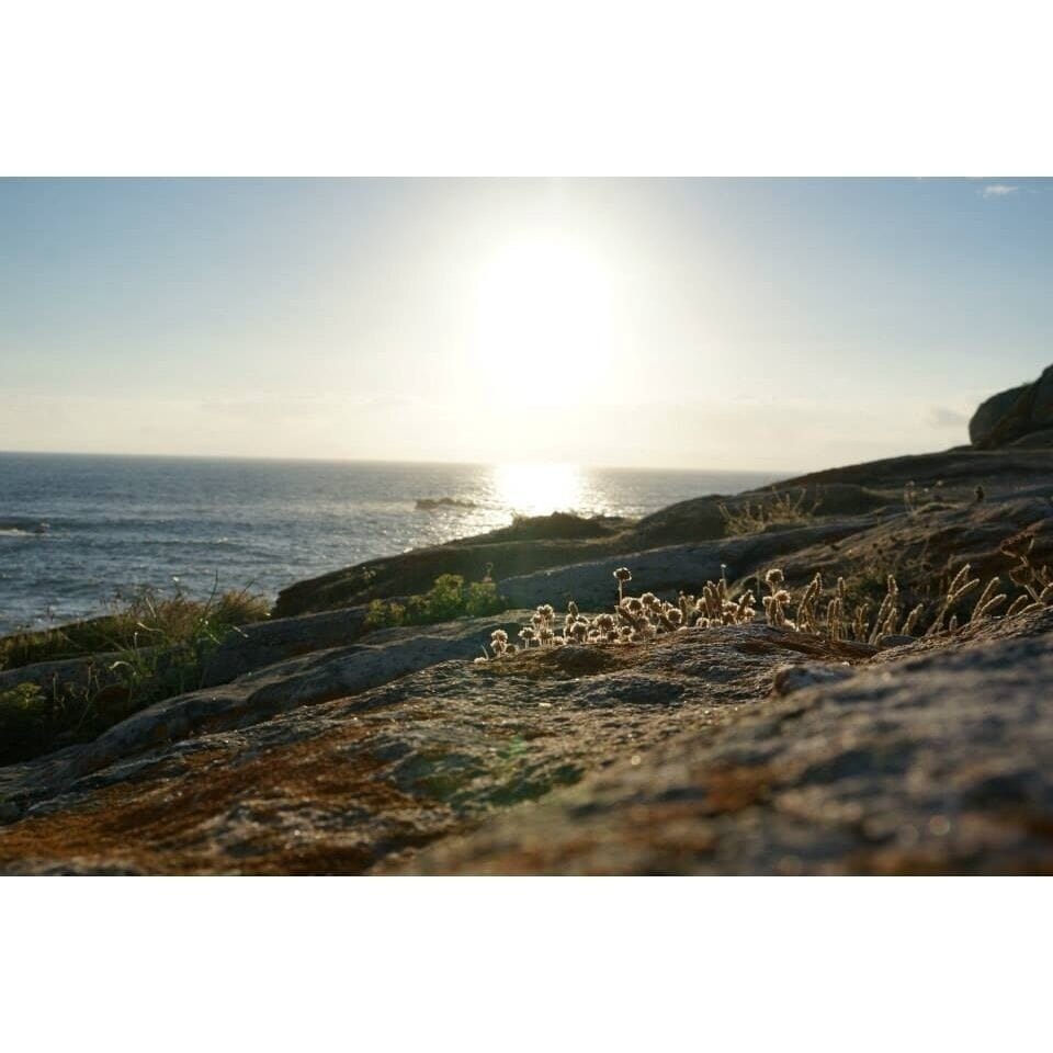 Faro de Corrubedo should be the place to see at least one of the sunsets when you are in the region. In many ways a more spectacular place than even Fistera!
