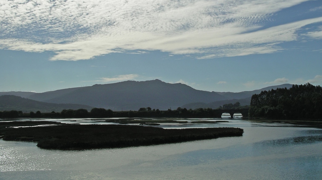 Desmbocadura do Baleo-ceo