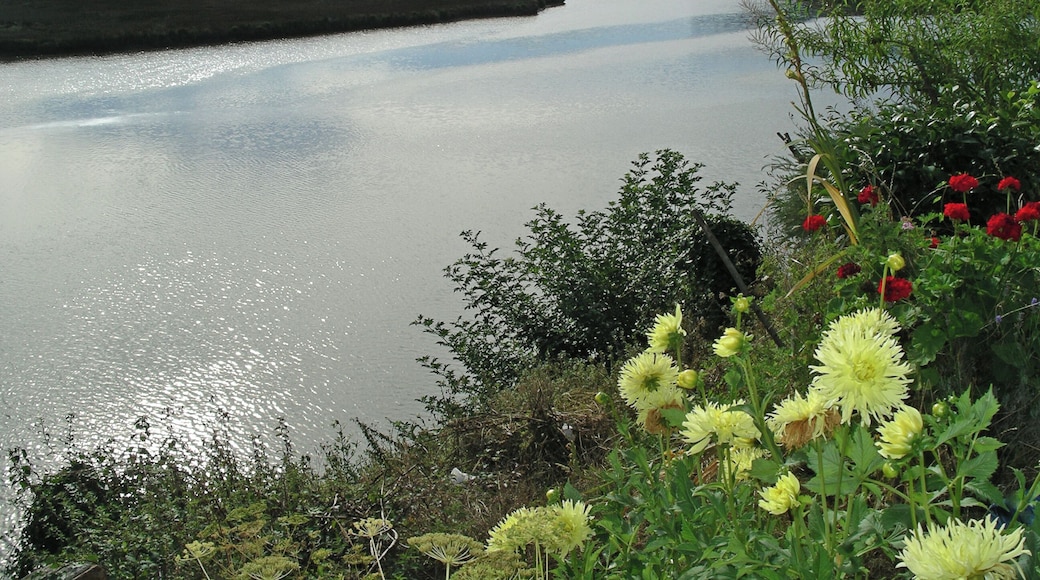 Desembocadura do Baleo - marea