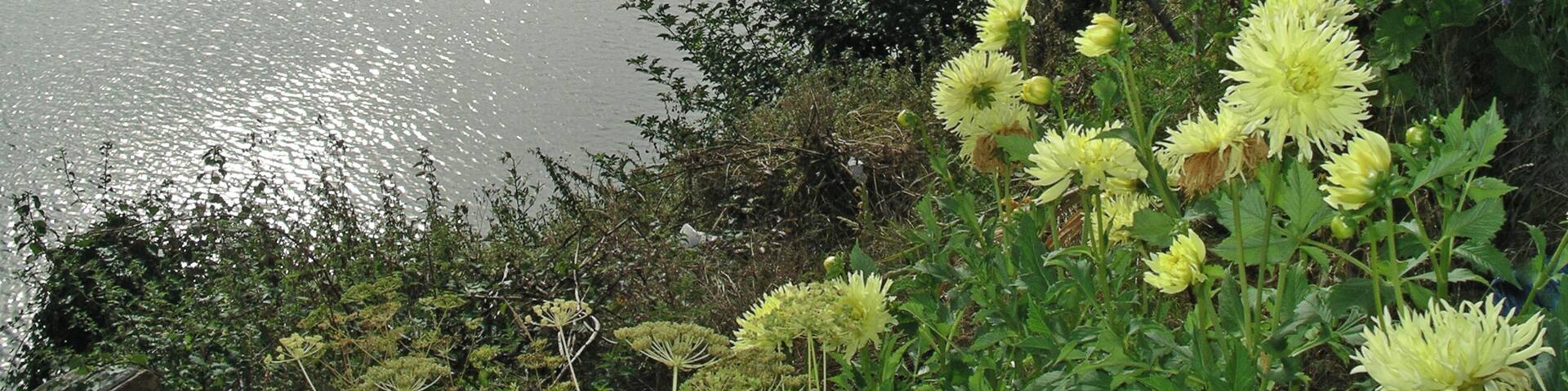 Desembocadura do Baleo - marea