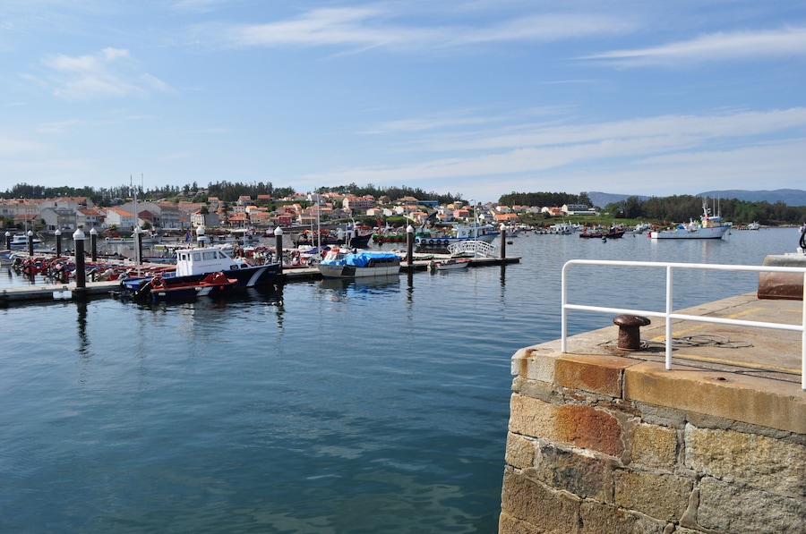Muelle