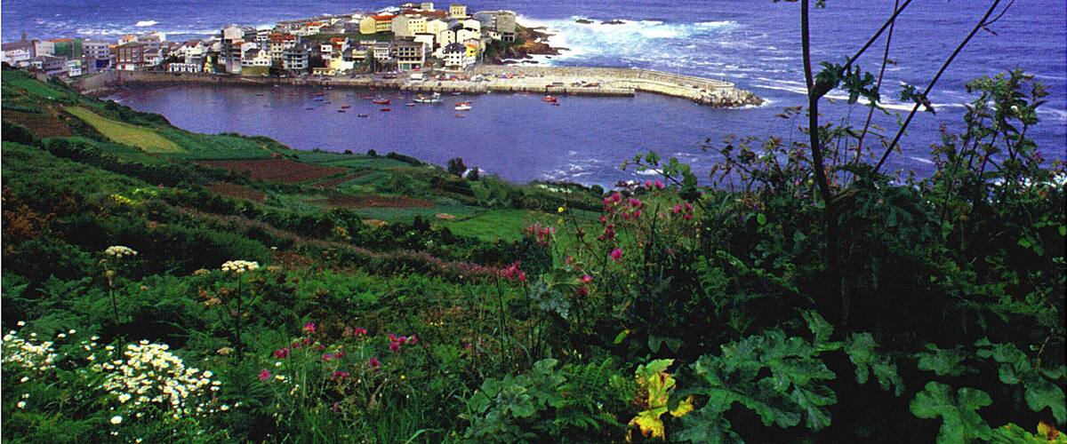 A coastal town with buildings along the shore, surrounded by greenery and flowers.