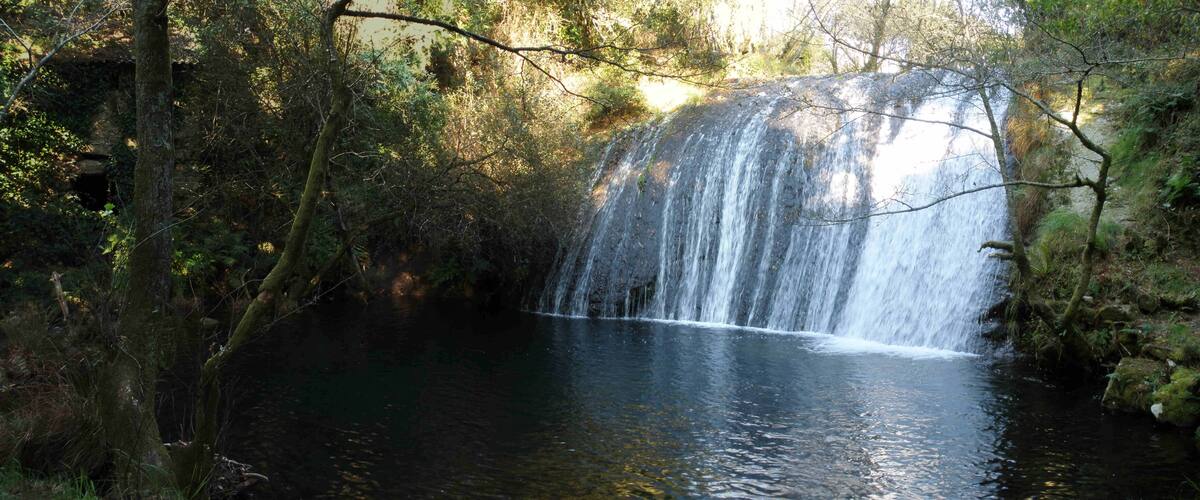 A waterfall cascading into a dark pool surrounded by dense forest.