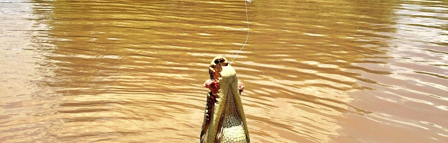 When in Darwin you should go on a jumping croc cruise.