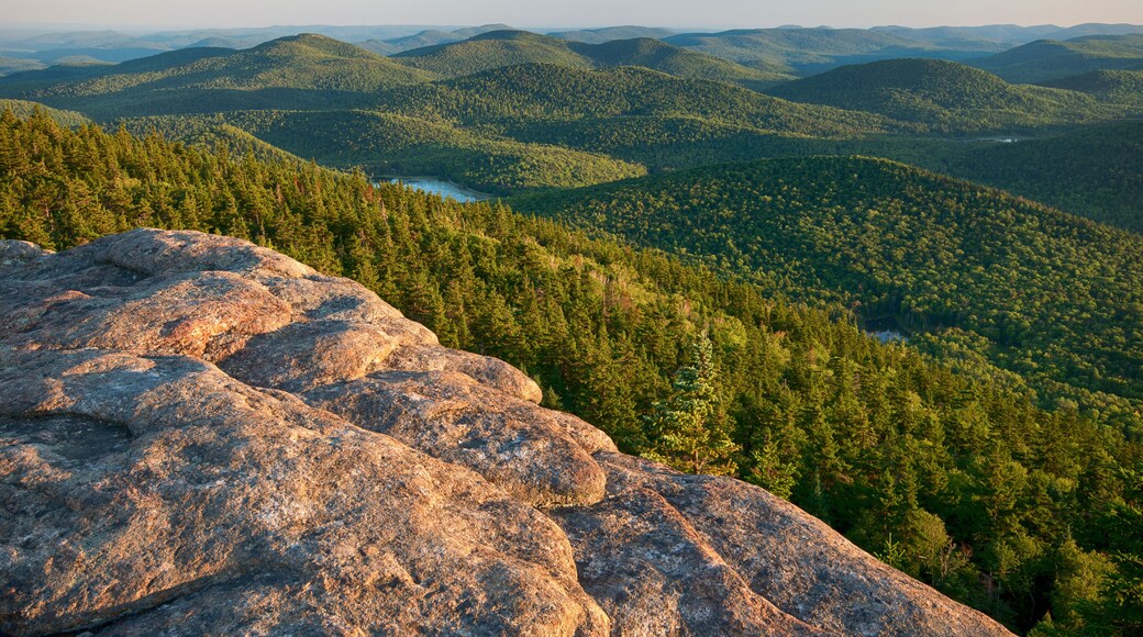 USA, New York State. View from Crane Mountain, Adirondack Mountains.