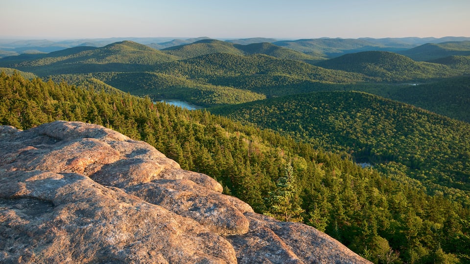 A mountainous landscape with dense forests and a visible lake.