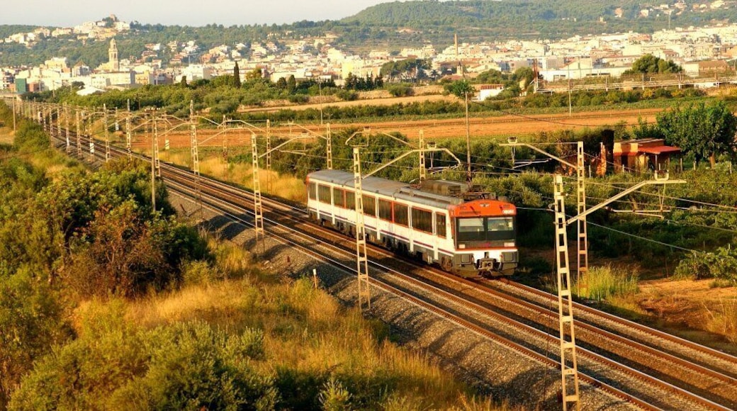 Regional amb la 470.089 al seu pas per Bellvei. Regional con la 470.089 a su paso por Bellvei.