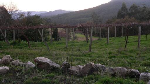 Paisaxe en Vilar do Abade