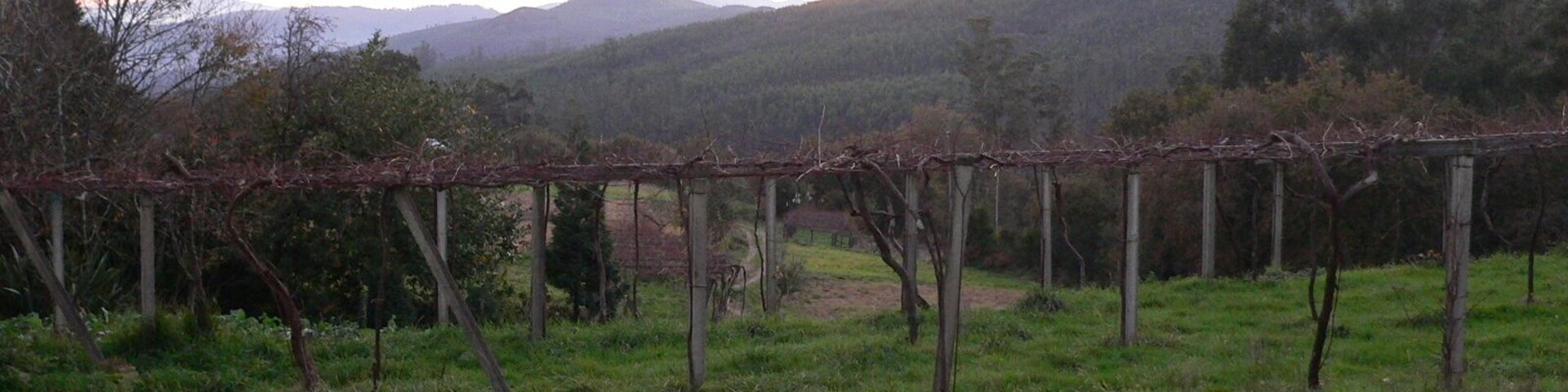 Paisaxe en Vilar do Abade