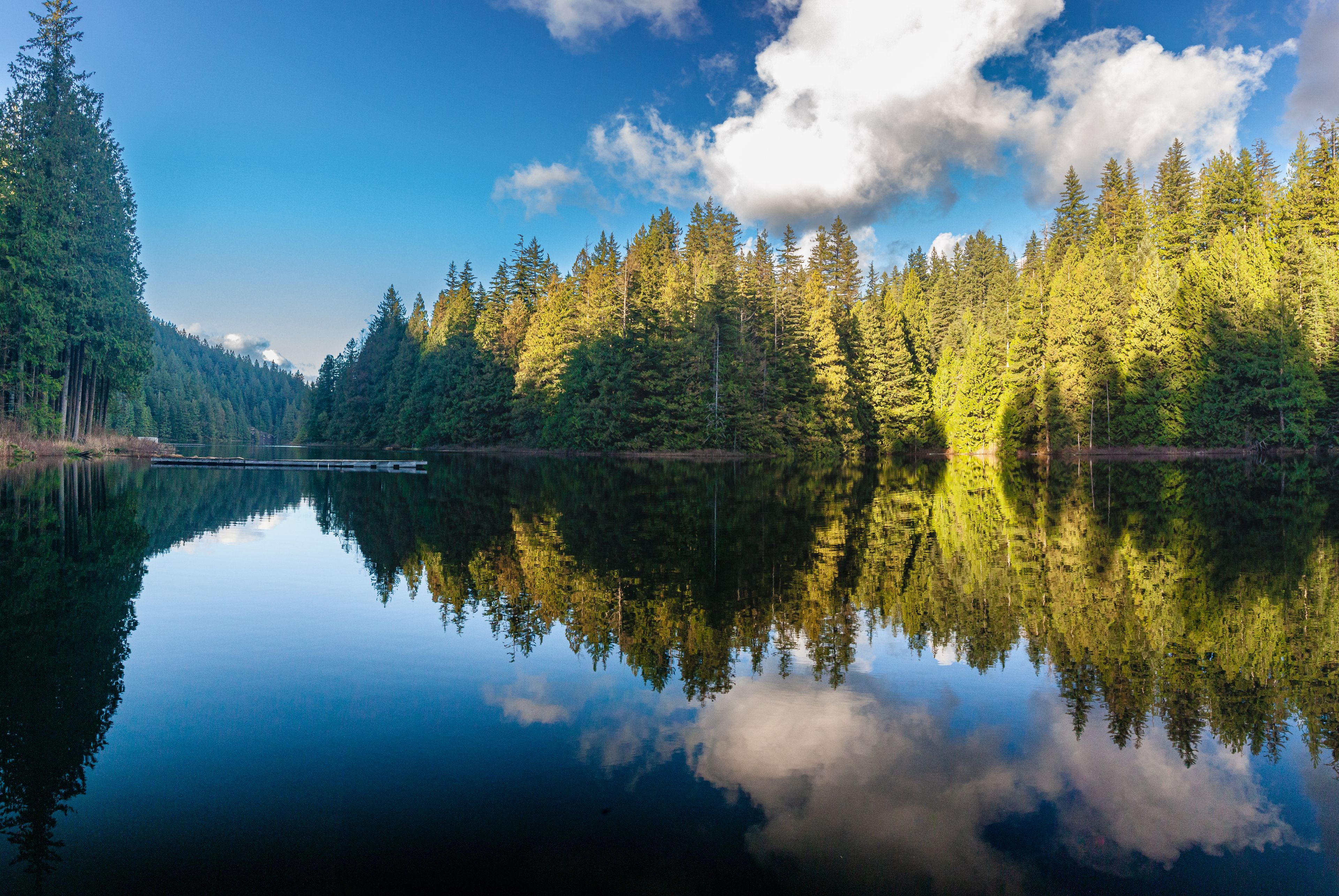 Forest and lake landscape, Loon Lake, Maple Ridge, British Columbia, Canada