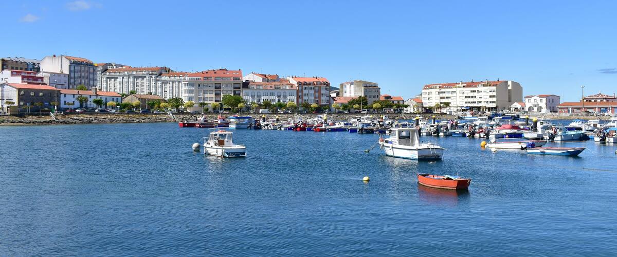 A marina with numerous boats docked, surrounded by coastal buildings.