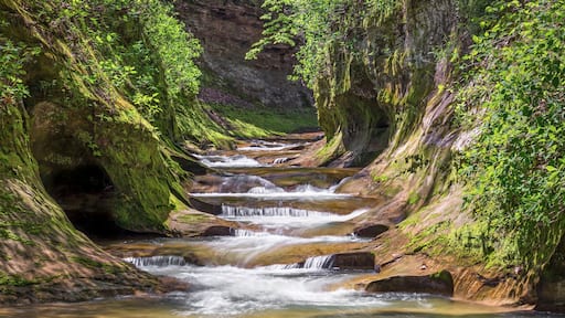 The Potholes at Fall Creek Gorge
