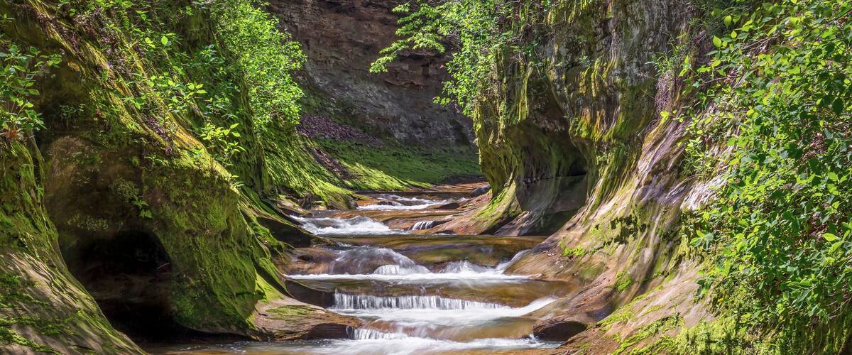 A multi-tiered waterfall surrounded by lush greenery and moss-covered rocks.