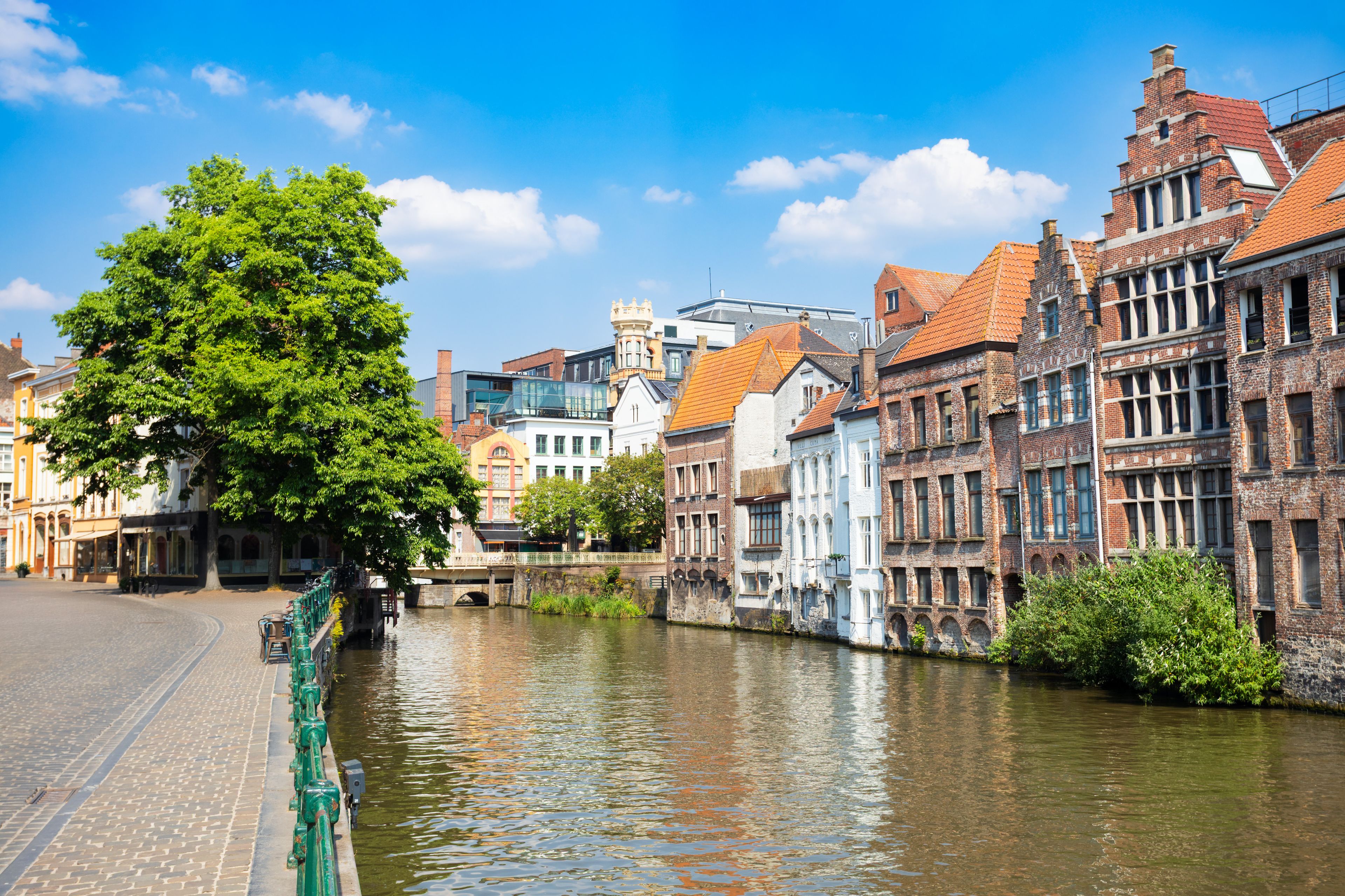 Een gracht met historische gebouwen aan de ene kant en een grote boom op de voorgrond.