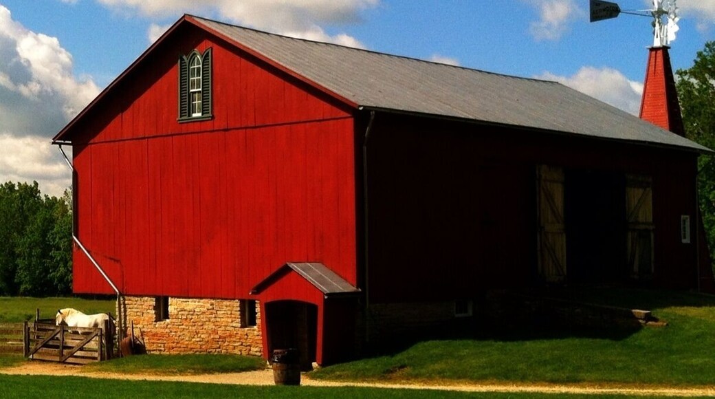 This historical farm, tucked away amid the suburbs of Dayton, Ohio, provides its visitors with a glimpse of what farm life was like just a few short 150 years or so ago...
The bright red barn on the grounds is certainly an eye catcher, and is complete with a windmill, horses, pigs, hens and a rooster... who by the way, is very protective of his hens!
The history of the farm is told in the visitor center, and a riding center on the farm provides trail rides.
Overall, a fun family day outing!