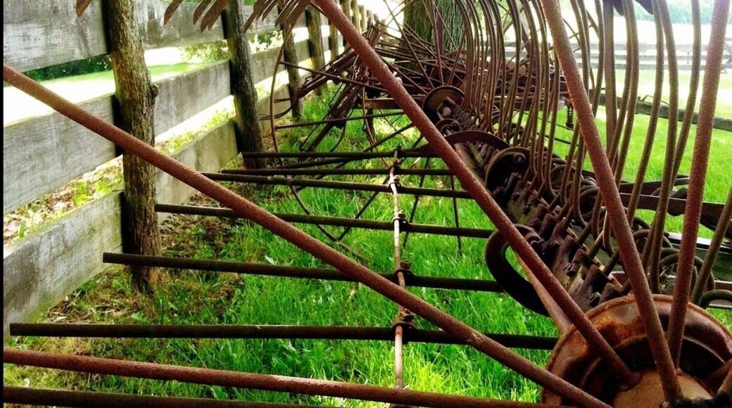 A unique look at an old piece of farm equipment known as a Dump Rake, or Sulky.
After hay was cut and left to dry for a few days, the horse drawn sulky would gather the hay and leave it collected in rows called windrows, which eased the process of loading the hay onto the wagon.
This tool and method increased collection time dramatically, considering the alternative at that time was a hand rake.
However, just as the hand rake was outdone by the dump rake, the dump rake was replaced by gasoline powered tractors in the 1930s. Generally, dump rakes have been relegated to interesting, rustic yard ornaments...
Carriage Hill Metro Park and Farm is a historic farm that provides visitors with a glimpse into the life of a farmer over a century ago.