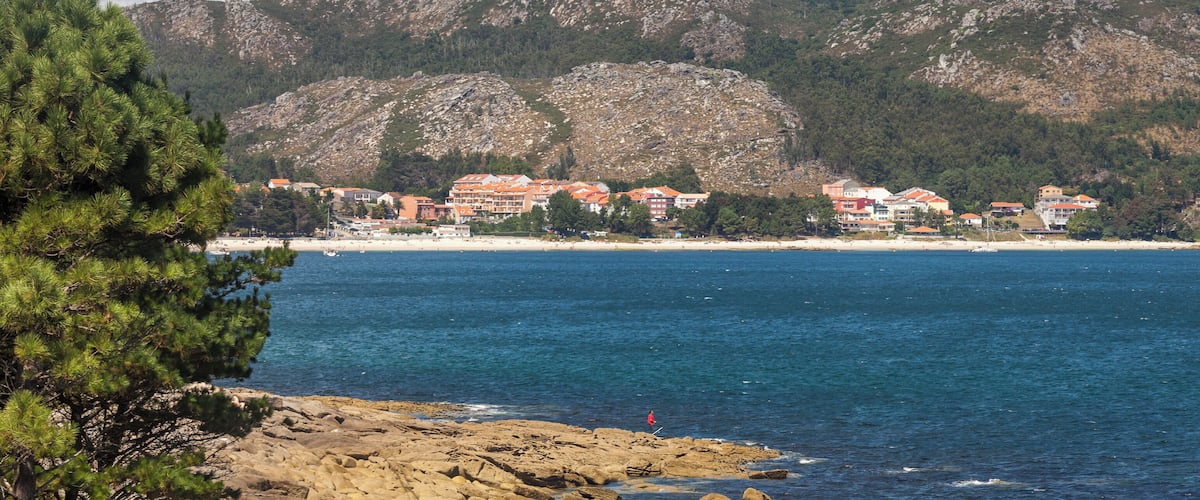 A coastal landscape with a rocky shoreline, a pine tree, a seagull flying, and buildings along the beach.