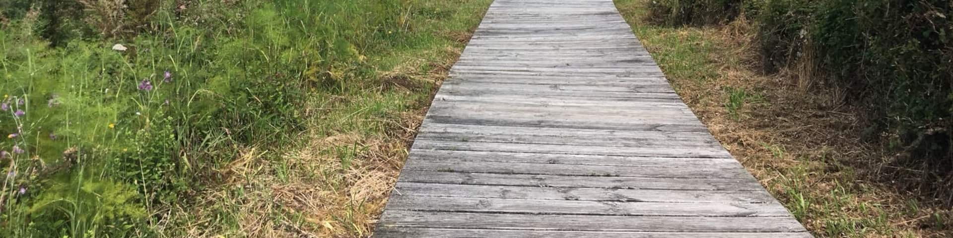 Wild beach in Valdoviño #WeLoveOurMarkets #lifeatexpedia