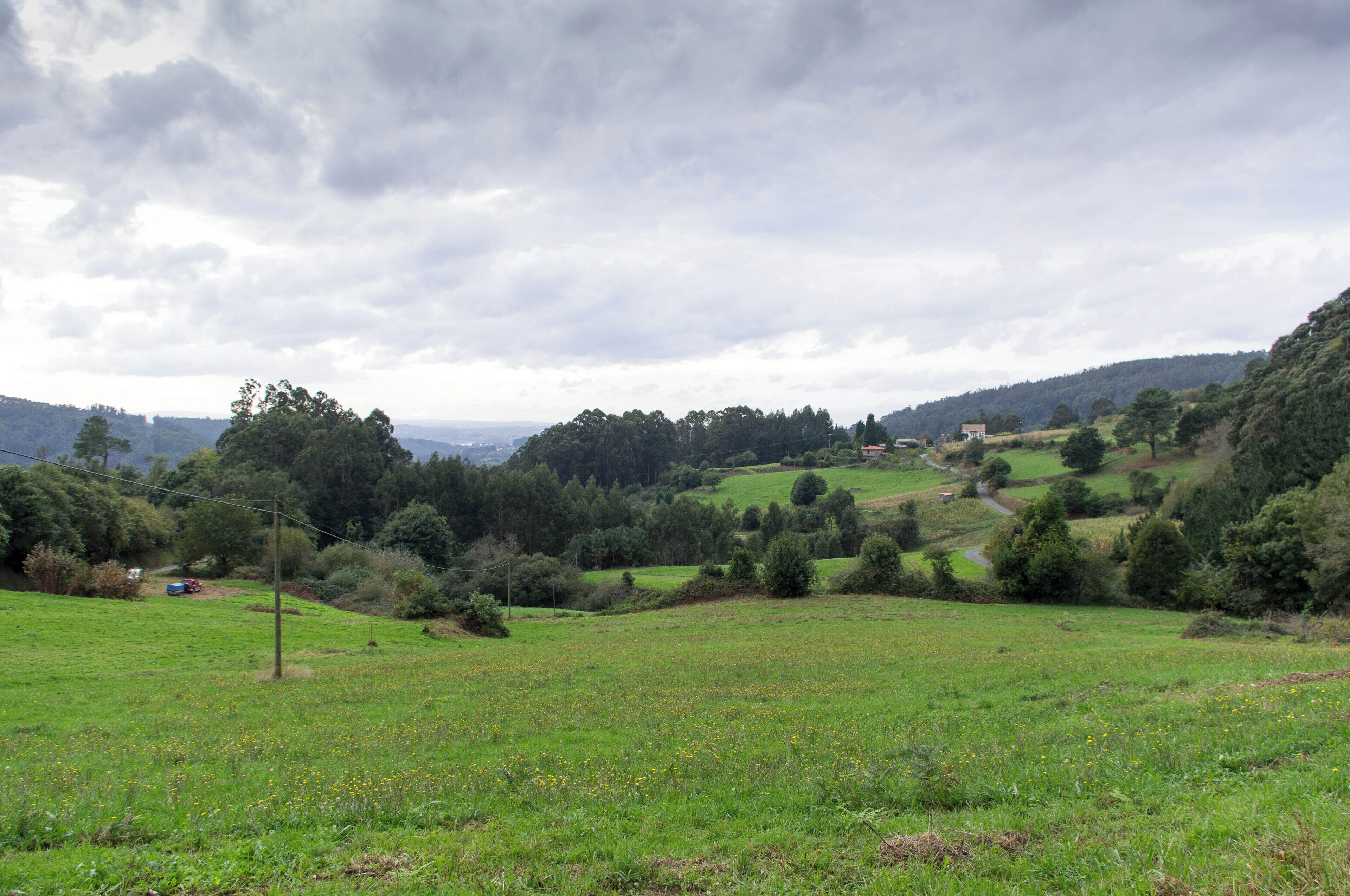 A lush green valley with rolling hills, scattered trees, and a distant building.