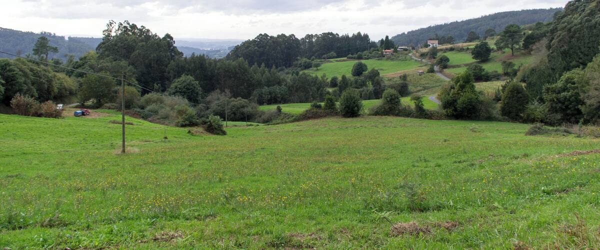 A lush green valley with rolling hills, scattered trees, and a distant building.