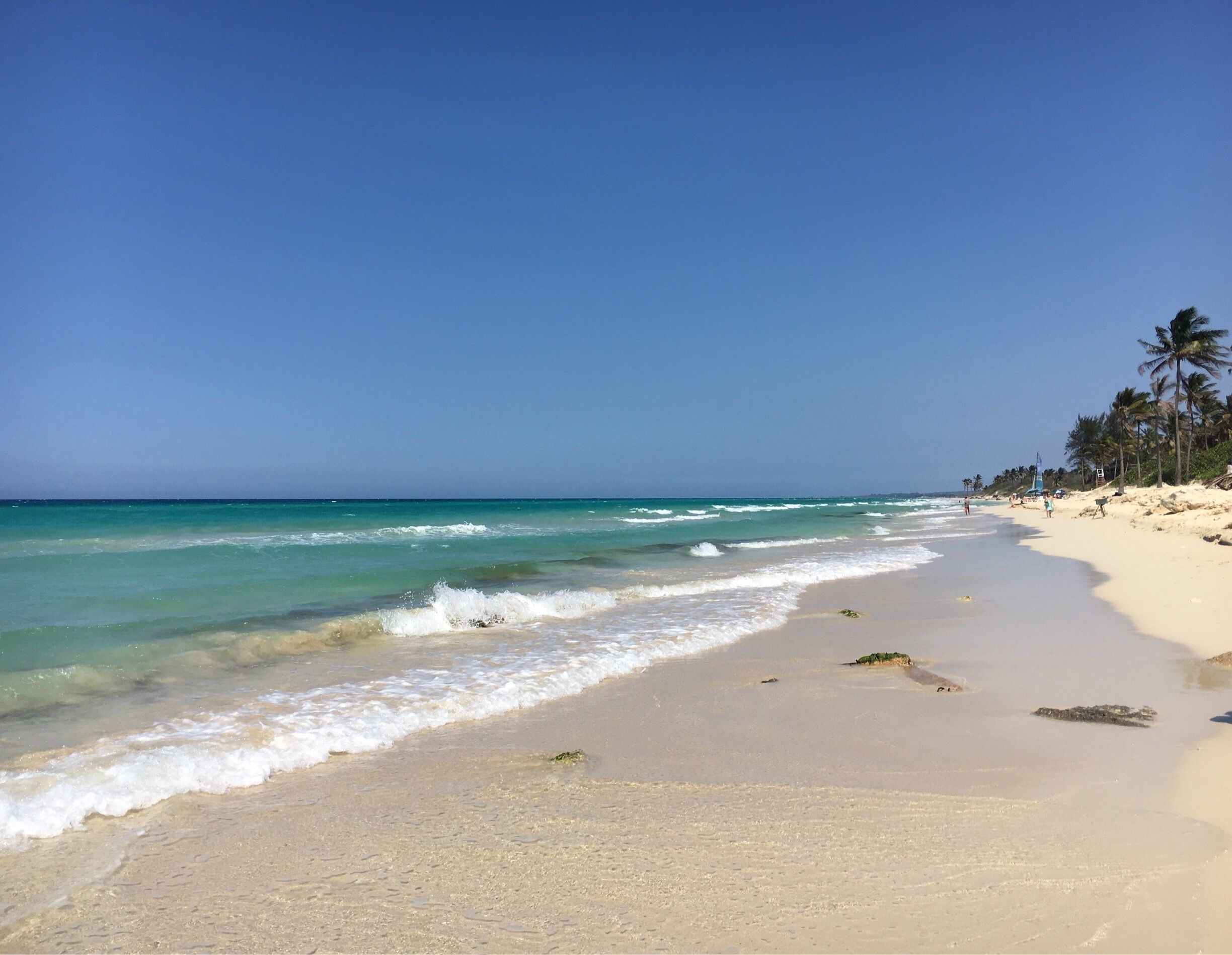Beautiful beach in Playa Santa Maria. There is a Transtur bus every 20 to 30 mins, 10 am to 6pm from Parque Central which costs CUC5 (approx. USD 5) roundtrip. This beach is pretty :) and comes with a live band 👍🏼