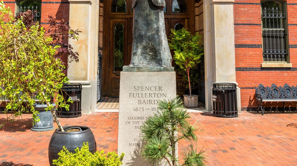 Statue of Spencer Fullerton Baird at the Smithsonian museums in Washington, D.C.