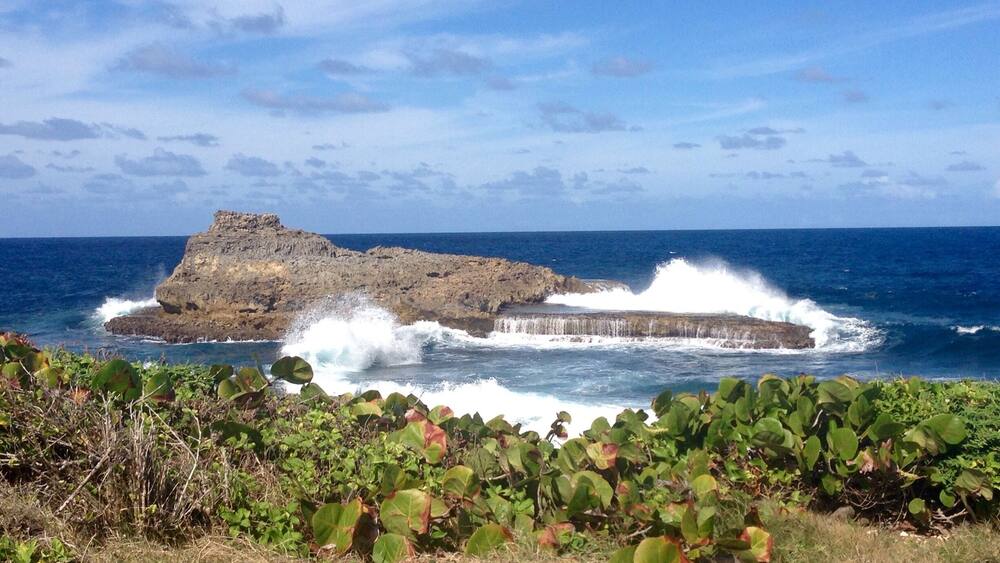 Un petit bout de ma Bretagne en guadeloupe 😉