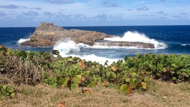 Un petit bout de ma Bretagne en guadeloupe đ