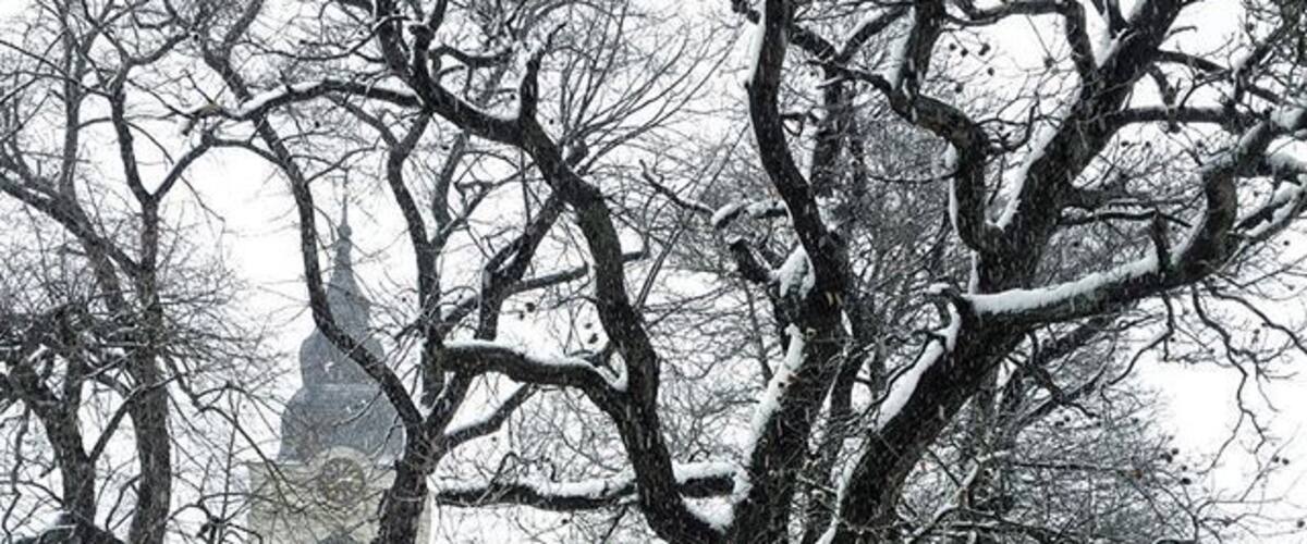 A snow-covered park with bare trees and a distant building.
