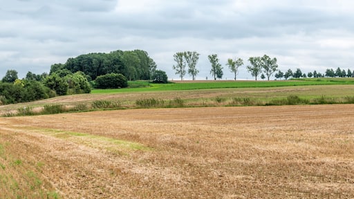 Winding road through the harvested fields and hills at the Flemish countryside around Breisem, Belgium