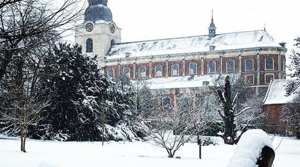 Winter has arrived! #belgium #hoegaarden #visitflanders #inspiringtravellers #WinterWonders