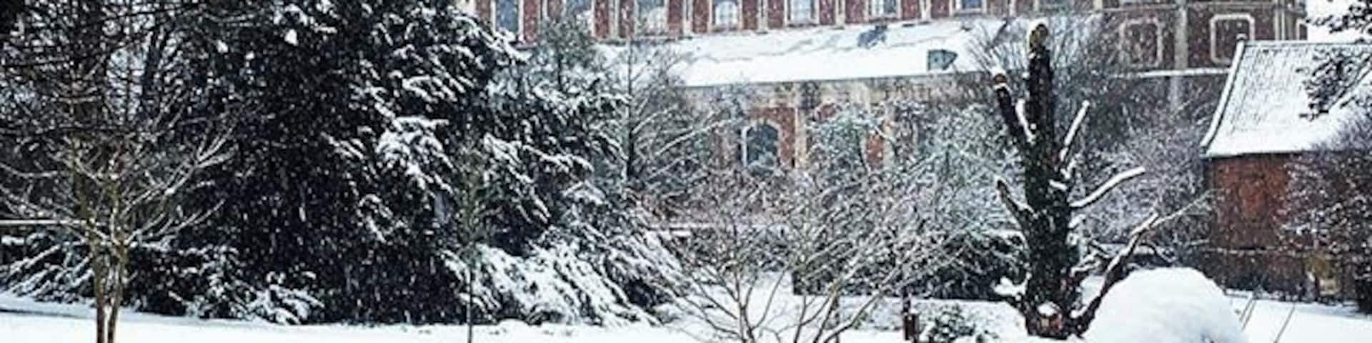 Winter has arrived! #belgium #hoegaarden #visitflanders #inspiringtravellers #WinterWonders