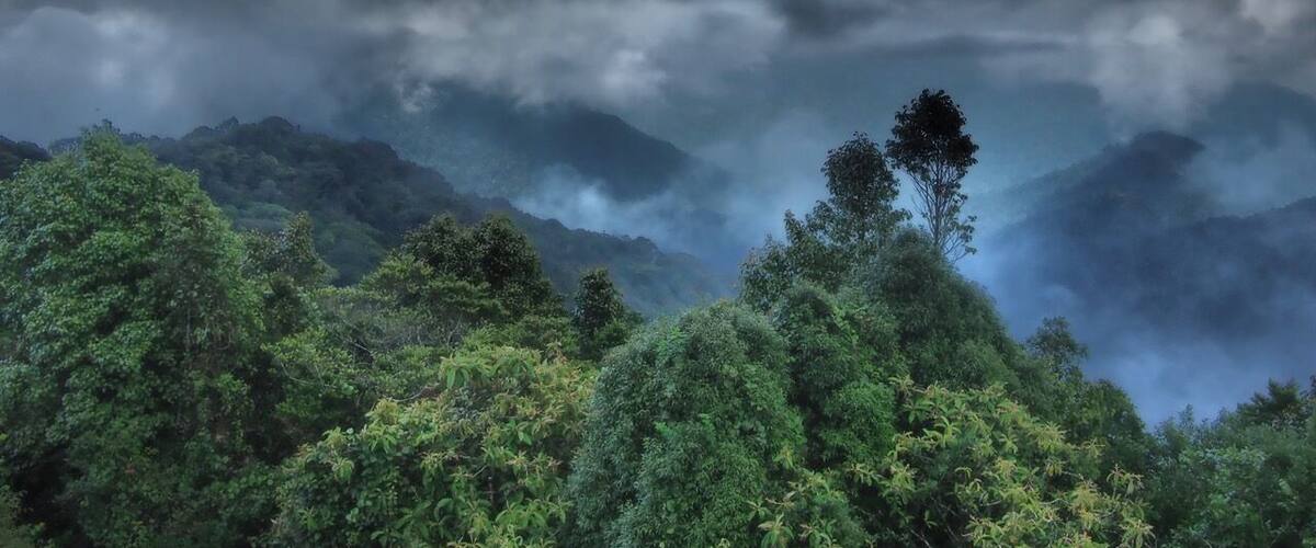 A mountainous landscape with dense green foliage and a clear sky.