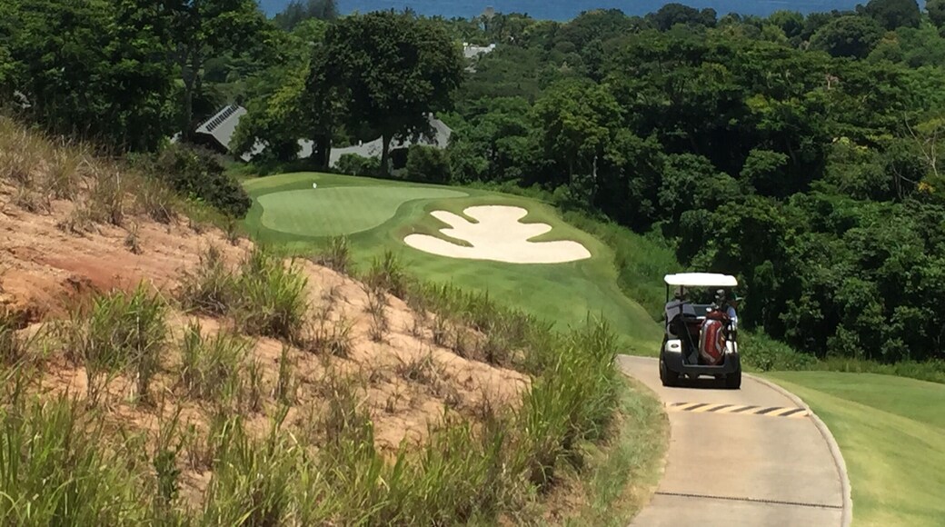 Anvaya Golf Course is one of the best course in the Philippines and Asia.