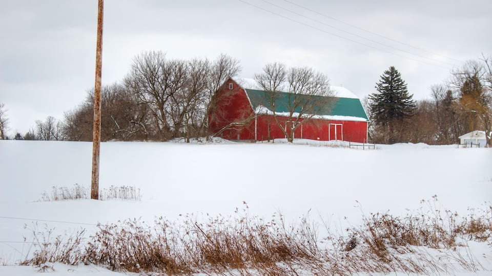 A red barn with a green roof in a snowy field.