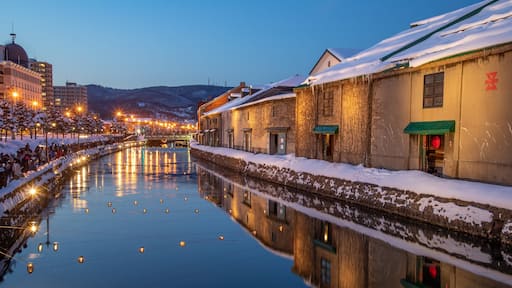 Otaru Canal