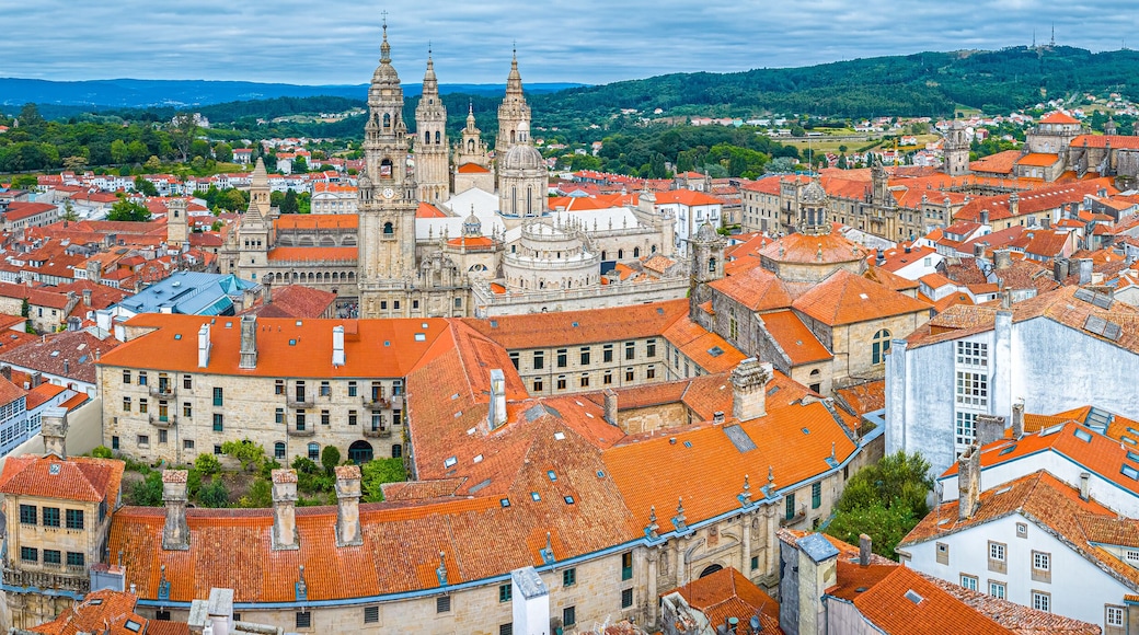 Santiago de Compostela, the province of A Coruña, is the capital of the autonomous community of Galicia, in northwestern Spain
