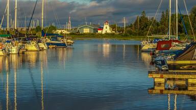 A marina with several sailboats docked, a lighthouse, and a small building in the background.