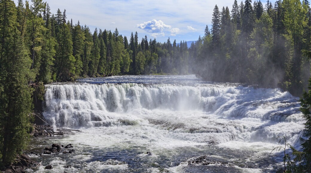 ลิตเติล เคอร์เรนท์ฺ