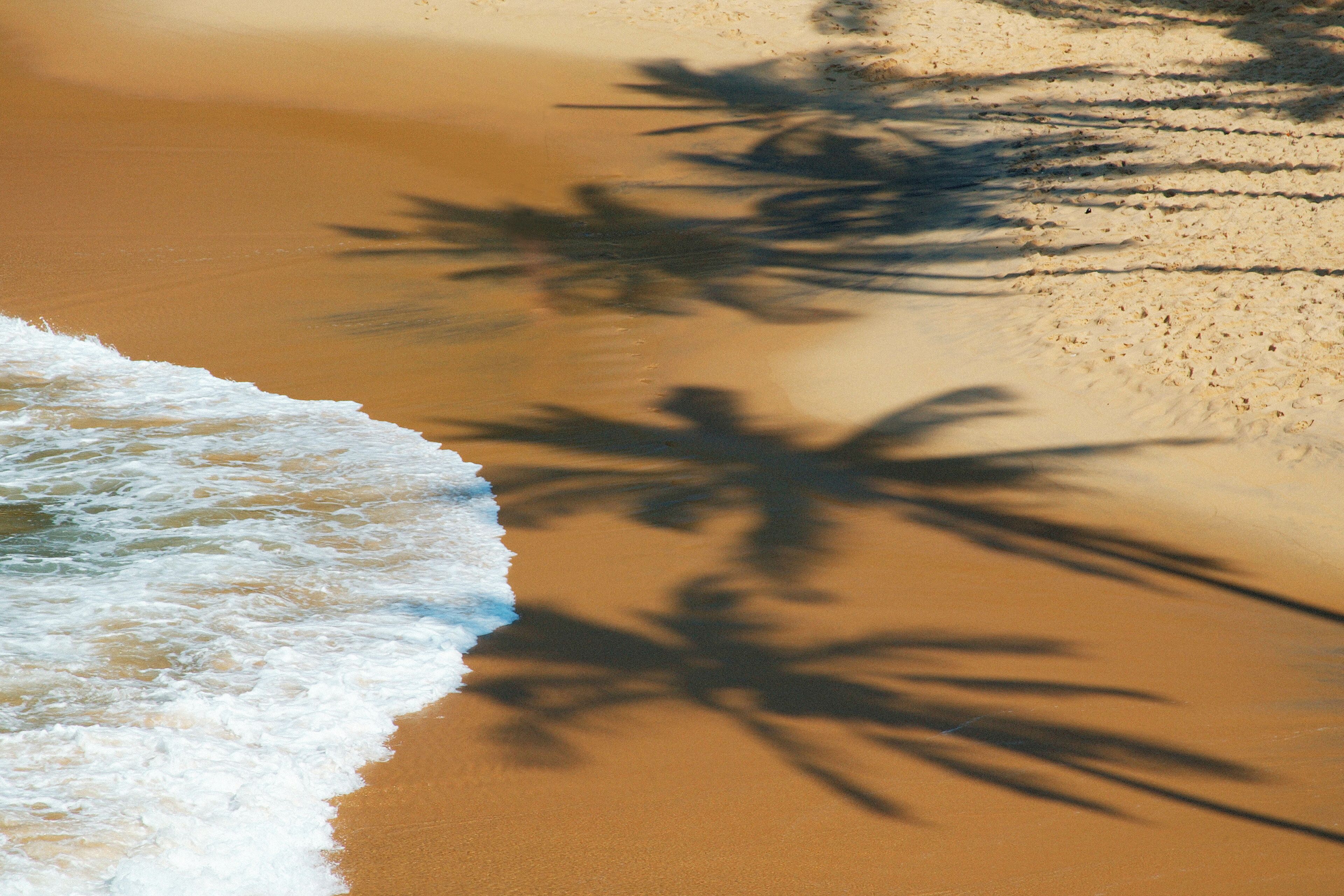 A sandy beach with palm tree shadows and ocean waves.