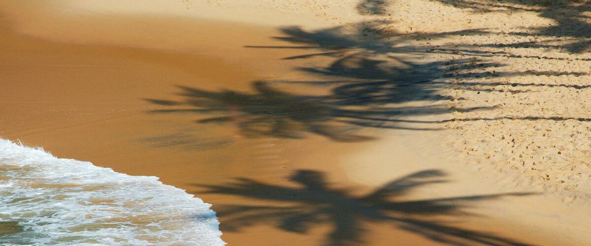 A sandy beach with palm tree shadows and ocean waves.