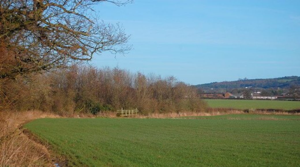 Footpath Tarvin Sands to Lower Street Farm The footpath between Tarvin Sands and Lower Street Farm on the A54. The path crosses a number of ditches where excellent footbridges are positioned.