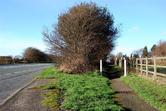 A51 and Adjacent Footpath Between Tarvin and Duddon Heath the A51 and a footpath are adjacent and parallel.
