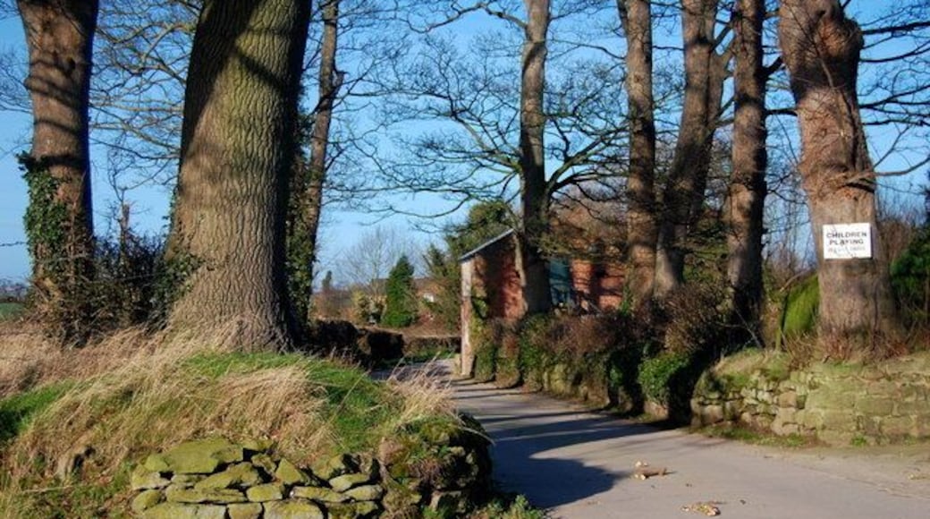 Entrance to Horton Hall Footpath ends at this entrance to Horton Hall. The Hall is out of shot on the right and the road continues past workshops, which can be seen on the right and onwards to farm buildings.