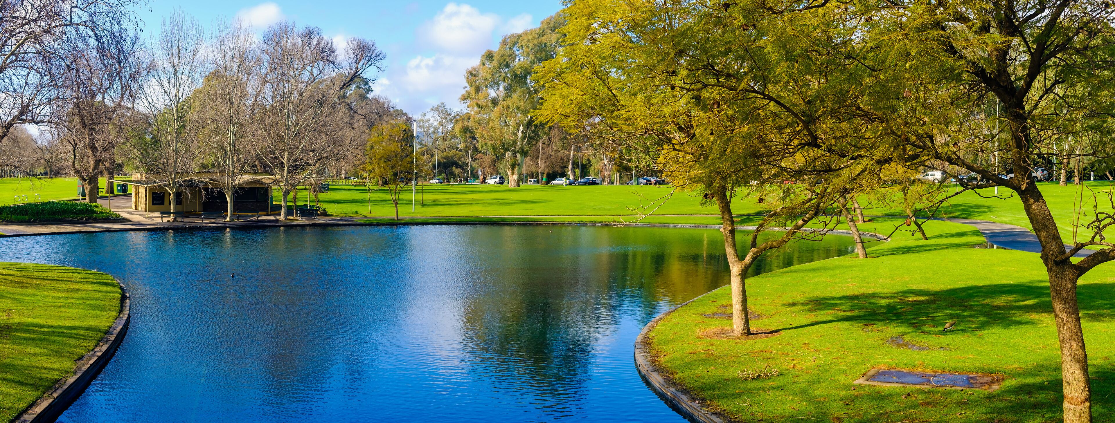 Rymill Park pond viewed from the bridge in Adelaide city on a sunny winter morning, South Australia